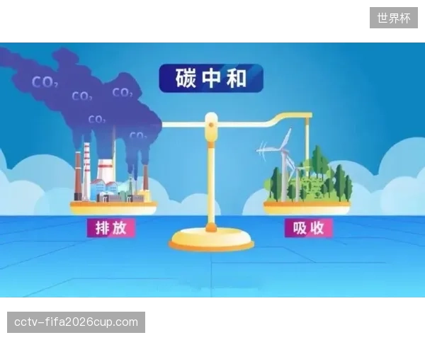 大量碳中和措施集中于赛时执行，忽略了筹备与收尾阶段的巨大排放，全生命周期评价理念亟待真正落地